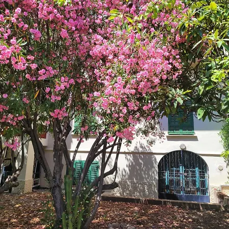 Апартаменты T3 Waller Proche Plages Et Centre-ville