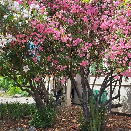 Апартаменты T3 Waller Proche Plages Et Centre-ville